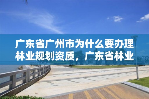 广东省广州市为什么要办理林业规划资质，广东省林业规划设计院