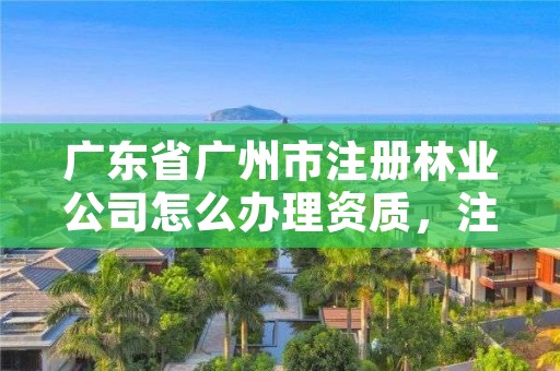 广东省广州市注册林业公司怎么办理资质，注册林业公司用什么名字好