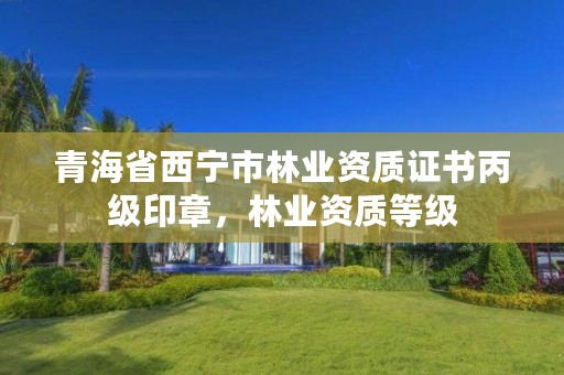 青海省西宁市林业资质证书丙级印章,林业资质等级