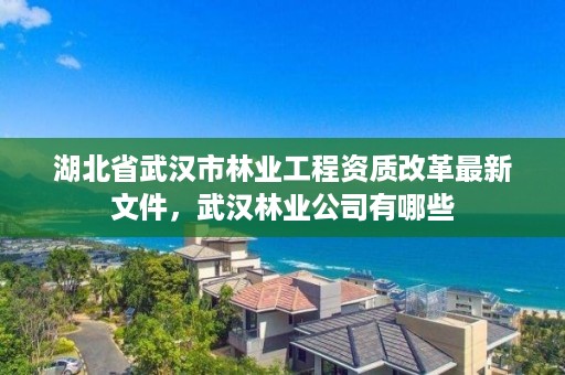 湖北省武汉市林业工程资质改革最新文件,武汉林业公司有哪些