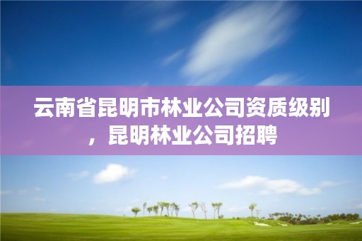 云南省昆明市林业公司资质级别,昆明林业公司招聘