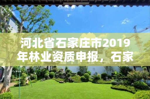 河北省石家庄市2019年林业资质申报,石家庄林业局招标公告