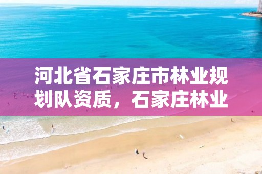 河北省石家庄市林业规划队资质,石家庄林业局招标公告