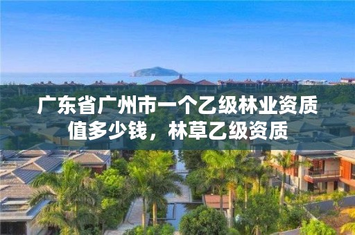 广东省广州市一个乙级林业资质值多少钱，林草乙级资质