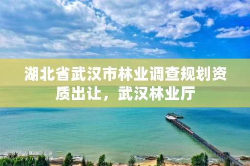 湖北省武汉市林业调查规划资质出让，武汉林业厅
