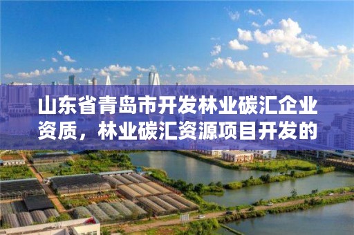 山东省青岛市开发林业碳汇企业资质,林业碳汇资源项目开发的公司
