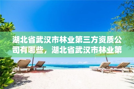 湖北省武汉市林业第三方资质公司有哪些,湖北省武汉市林业第三方资质公司有哪些单位
