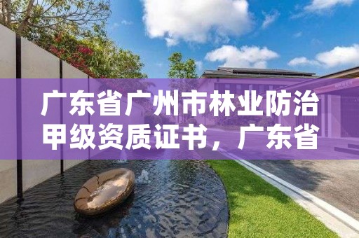 广东省广州市林业防治甲级资质证书，广东省林业工程师资格条件
