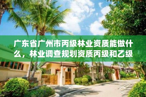 广东省广州市丙级林业资质能做什么，林业调查规划资质丙级和乙级的区别