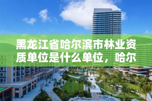 黑龙江省哈尔滨市林业资质单位是什么单位,哈尔滨市林业局直属林场