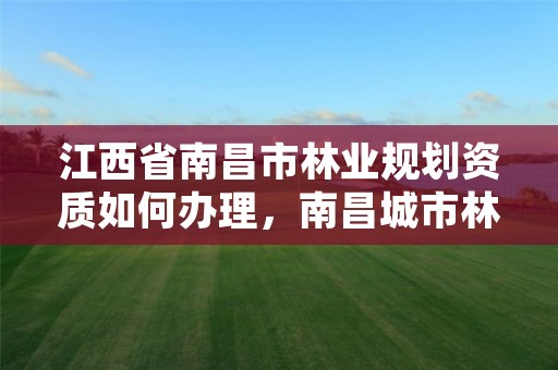 江西省南昌市林业规划资质如何办理,南昌城市林业现状