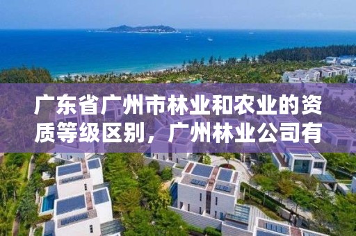 广东省广州市林业和农业的资质等级区别，广州林业公司有哪些