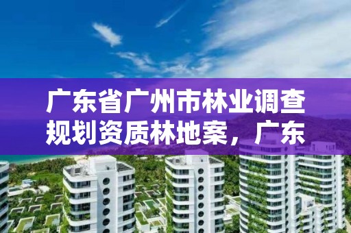广东省广州市林业调查规划资质林地案，广东省林地林木处理办法
