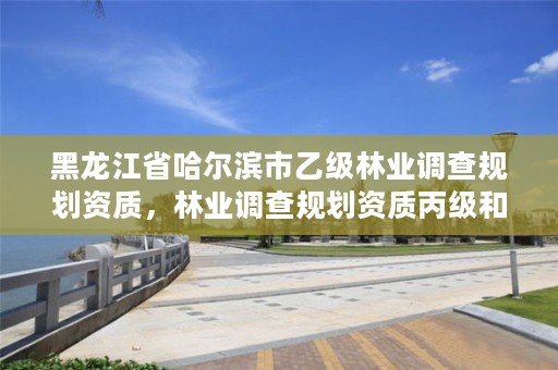 黑龙江省哈尔滨市乙级林业调查规划资质,林业调查规划资质丙级和乙级的区别