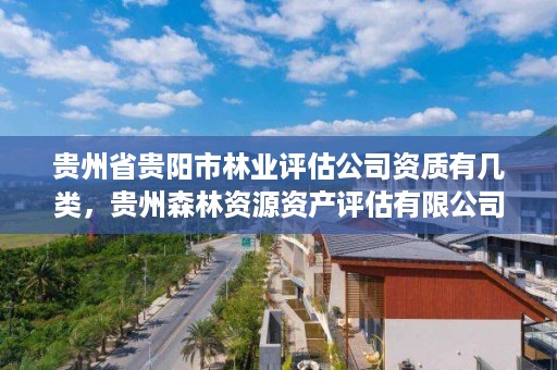 贵州省贵阳市林业评估公司资质有几类,贵州森林资源资产评估有限公司