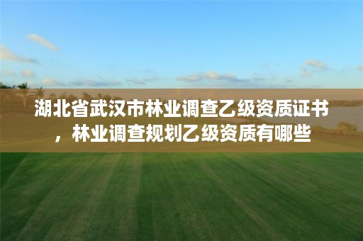 湖北省武汉市林业调查乙级资质证书,林业调查规划乙级资质有哪些
