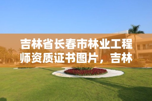 吉林省长春市林业工程师资质证书图片,吉林省林业厅官网职称公示