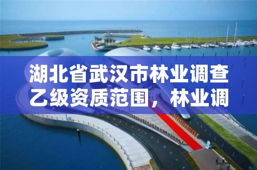 湖北省武汉市林业调查乙级资质范围,林业调查甲级资质