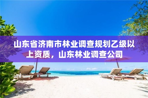 山东省济南市林业调查规划乙级以上资质,山东林业调查公司