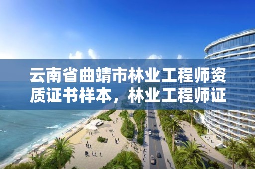 云南省曲靖市林业工程师资质证书样本,林业工程师证书查询