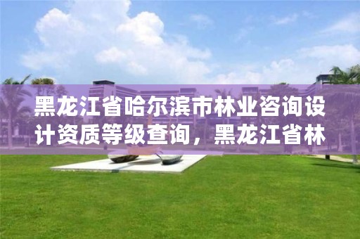 黑龙江省哈尔滨市林业咨询设计资质等级查询,黑龙江省林业设计研究院改制方案