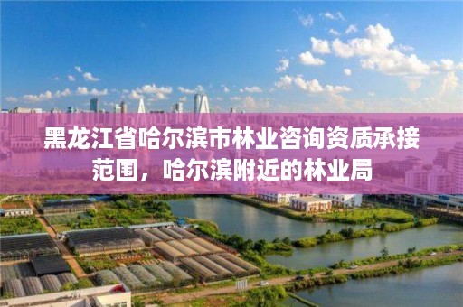 黑龙江省哈尔滨市林业咨询资质承接范围,哈尔滨附近的林业局