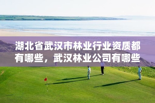 湖北省武汉市林业行业资质都有哪些,武汉林业公司有哪些