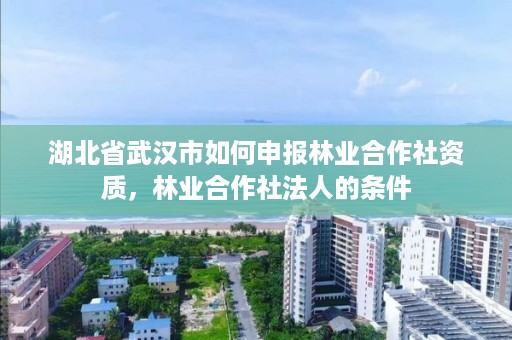 湖北省武汉市如何申报林业合作社资质,林业合作社法人的条件