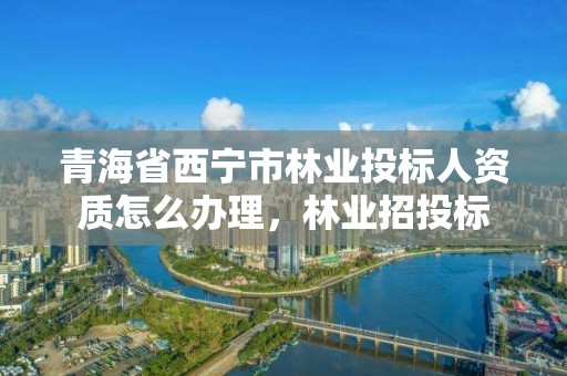 青海省西宁市林业投标人资质怎么办理,林业招投标
