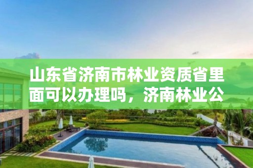 山东省济南市林业资质省里面可以办理吗,济南林业公司