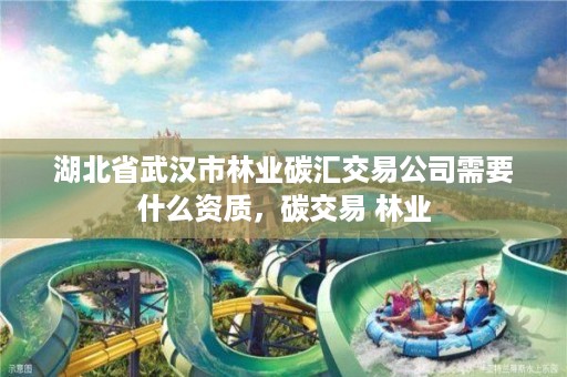 湖北省武汉市林业碳汇交易公司需要什么资质,碳交易 林业