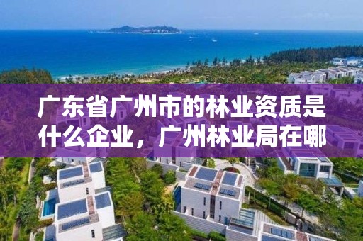 广东省广州市的林业资质是什么企业，广州林业局在哪里