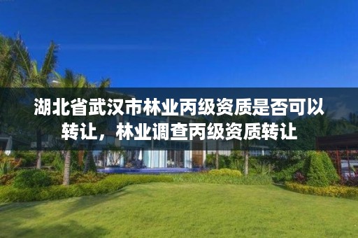 湖北省武汉市林业丙级资质是否可以转让,林业调查丙级资质转让