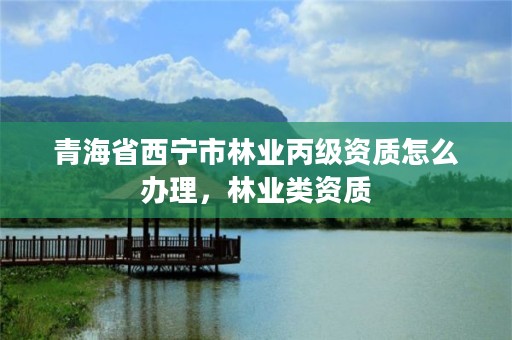 青海省西宁市林业丙级资质怎么办理,林业类资质