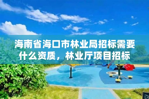 海南省海口市林业局招标需要什么资质,林业厅项目招标
