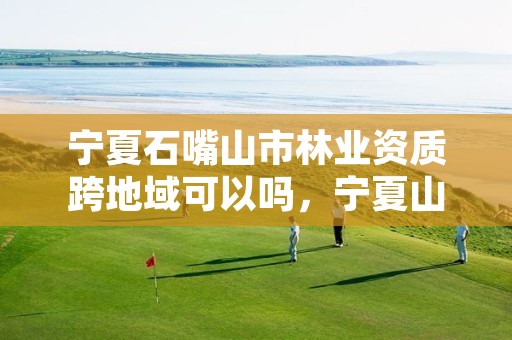 宁夏石嘴山市林业资质跨地域可以吗,宁夏山林权改革