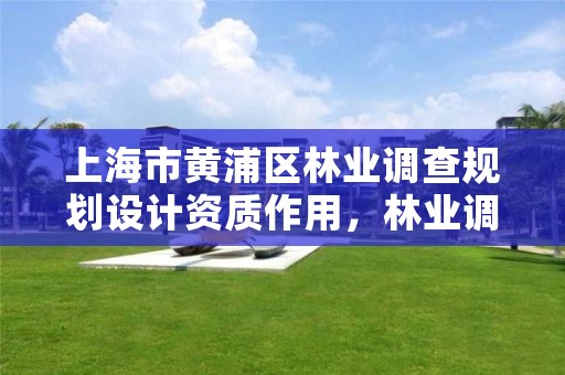 上海市黄浦区林业调查规划设计资质作用,林业调查规划设计队