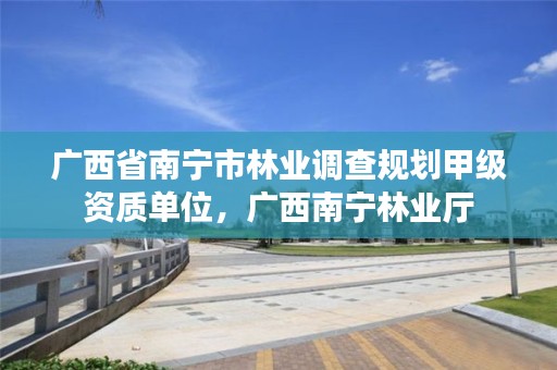 广西省南宁市林业调查规划甲级资质单位,广西南宁林业厅