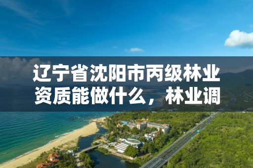 辽宁省沈阳市丙级林业资质能做什么,林业调查丙级资质转让