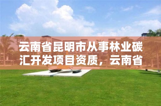云南省昆明市从事林业碳汇开发项目资质,云南省昆明市从事林业碳汇开发项目资质有哪些