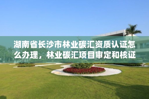 湖南省长沙市林业碳汇资质认证怎么办理,林业碳汇项目审定和核证指南