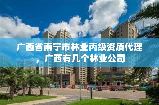 广西省南宁市林业丙级资质代理,广西有几个林业公司