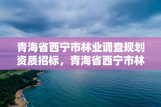 青海省西宁市林业调查规划资质招标,青海省西宁市林业调查规划资质招标信息