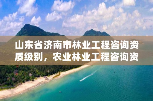 山东省济南市林业工程咨询资质级别,农业林业工程咨询资质