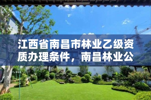 江西省南昌市林业乙级资质办理条件,南昌林业公司