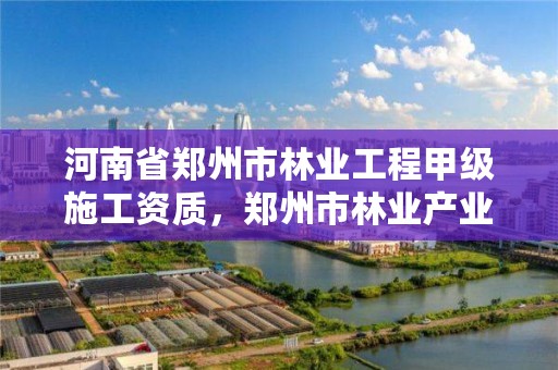 河南省郑州市林业工程甲级施工资质,郑州市林业产业中心招标