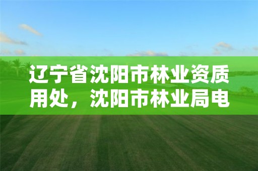 辽宁省沈阳市林业资质用处，沈阳市林业局电话号码