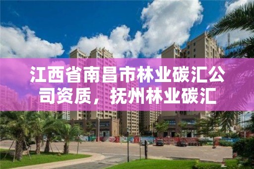 江西省南昌市林业碳汇公司资质,抚州林业碳汇