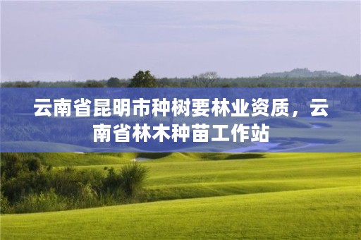 云南省昆明市种树要林业资质,云南省林木种苗工作站