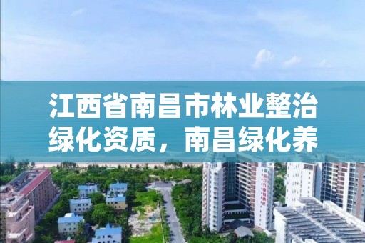 江西省南昌市林业整治绿化资质,南昌绿化养护单位